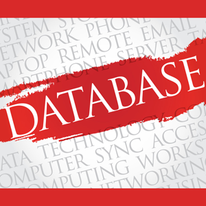 Datenbanken - Oracle, MYSQL, u.a. sind Basis der meisten anspruchsvollen Internet- und Intranet-Plattformen unserer Zeit